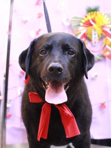 20230110こてつくん